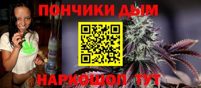 крисы Анапа
