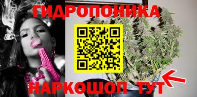 крисы Анапа