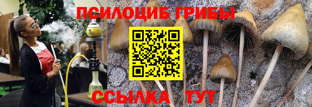 Галлюциногенные грибы Cubensis Вышний Волочёк